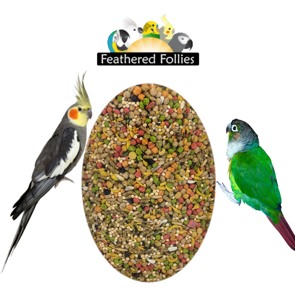 Bulk Feathered Follies Mix Medium