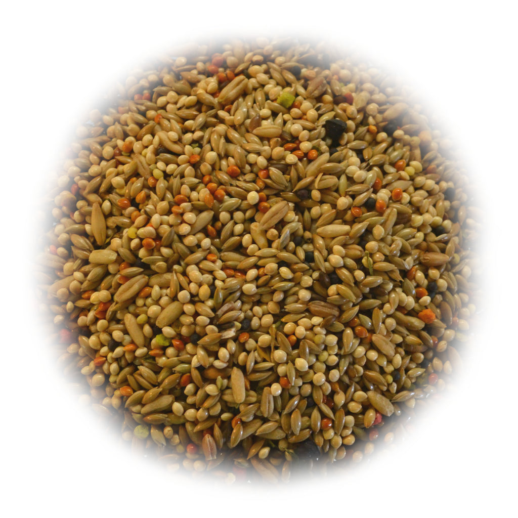 Bulk Preferred Exotic Parakeet Seed