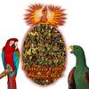 Bulk Phoenix Mix Large
